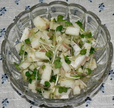 長芋とかいわれ菜、ミョウガの柚子胡椒風味の写真