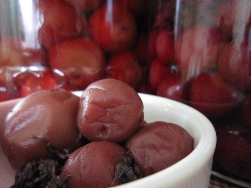 ☆超～簡単!!干さない梅干し（梅漬け）♪ by かずちゃん＆チャー君 【クックパッド】 簡単おいしいみんなのレシピが