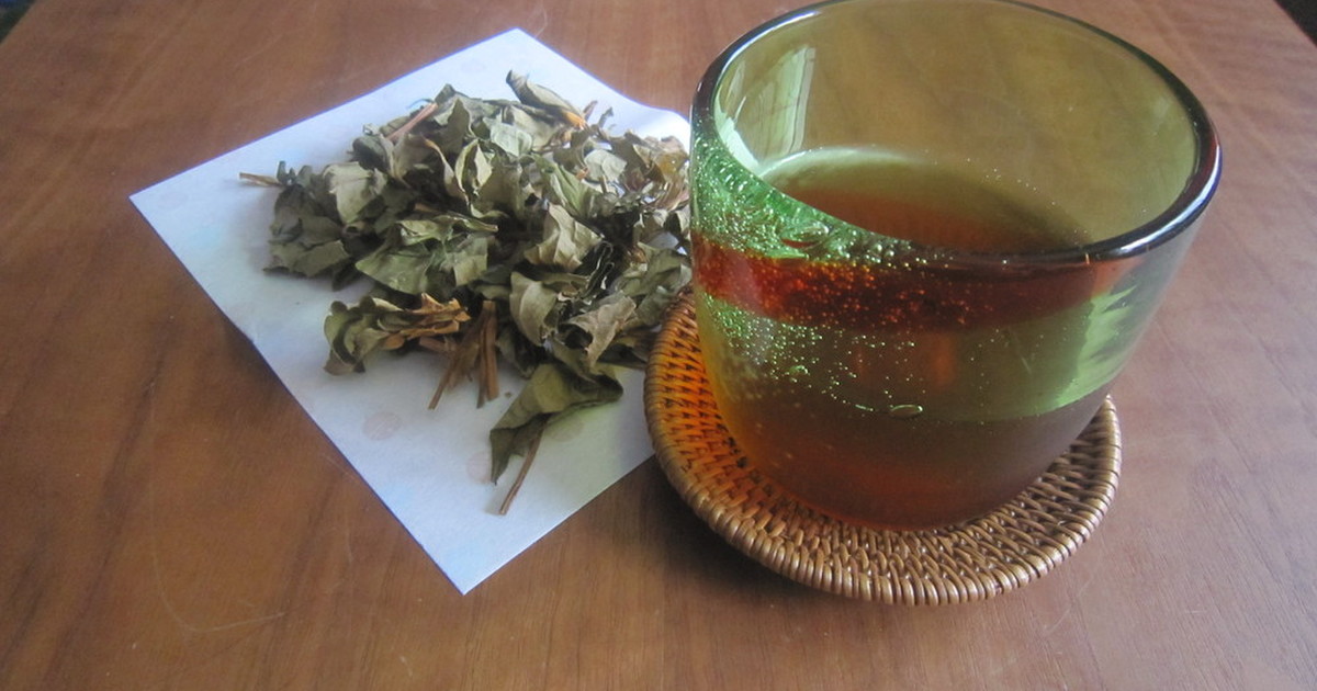 どくだみの花が咲いたら どくだみ茶 レシピ 作り方 By Yhiroko クックパッド 簡単おいしいみんなのレシピが376万品