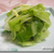 生姜でさっぱり★塩もみキャベツ