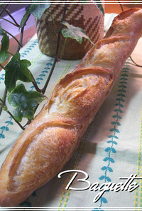 長時間低温熟成☆味わいフランスパン