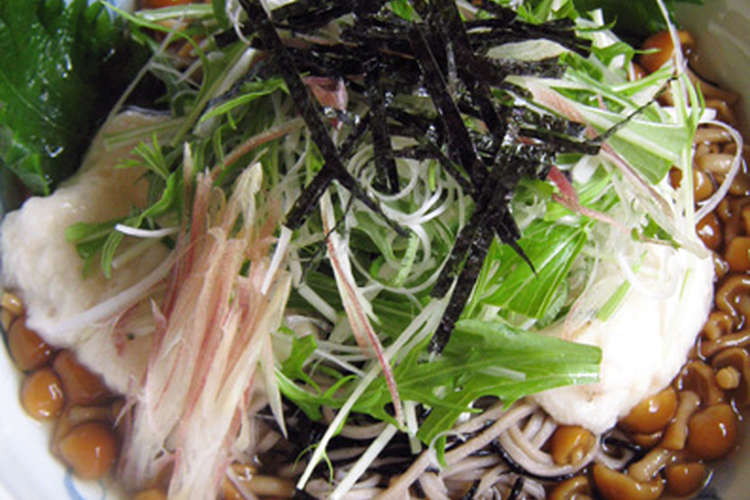 なめこチュルルン 薬味蕎麦 ひじき入り レシピ 作り方 By Pegupepepe クックパッド