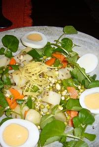 ムング豆のサラダ