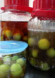 みんなが作ってる 梅酒 黒糖 はちみつのレシピ クックパッド 簡単おいしいみんなのレシピが357万品