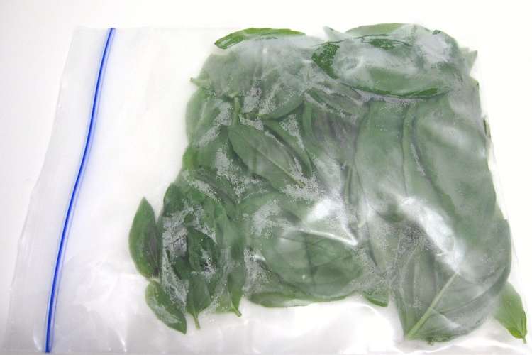 バジルの保存 レシピ 作り方 By とごとご クックパッド 簡単おいしいみんなのレシピが357万品