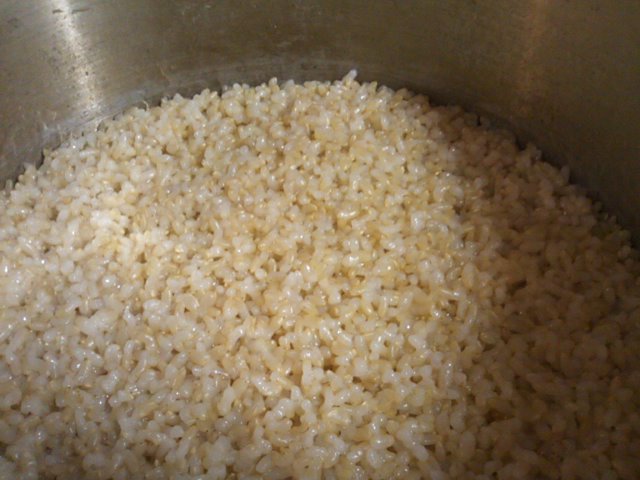 圧力鍋で炊くモチモチ玄米ご飯の画像