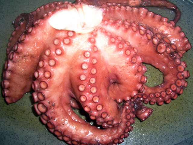 困った時に 生タコの茹で方 レシピ 作り方 By るじたにあの妻たち クックパッド 簡単おいしいみんなのレシピが358万品