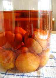 みんなが作ってる あんず 氷砂糖のレシピ クックパッド 簡単おいしいみんなのレシピが358万品