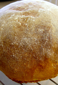 ドイツの田舎パン / ドイツパン