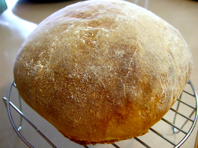 ドイツの田舎パン / ドイツパンの写真