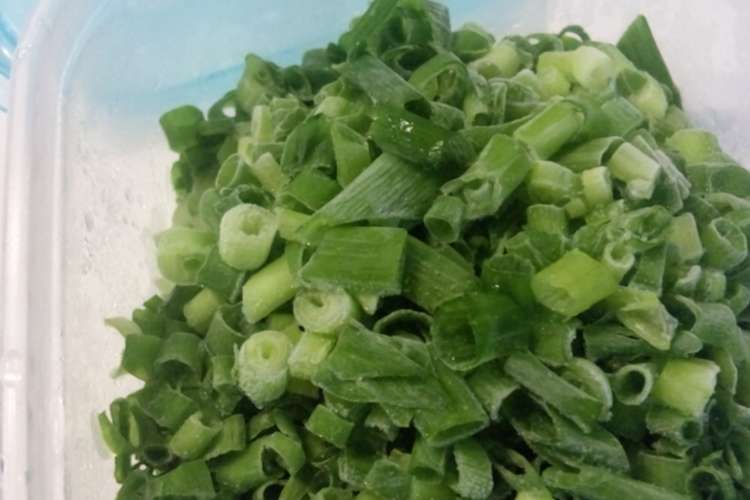 薬味ねぎの冷凍保存 レシピ 作り方 By Asa クックパッド 簡単おいしいみんなのレシピが353万品
