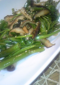 ツウサイ（空芯菜）と椎茸の青菜炒め