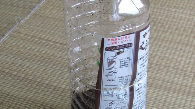 覚書 丸粒麦茶の保存方法 レシピ 作り方 By ぱんだ悟空 クックパッド 覚書 丸粒麦茶の保存方法 レシピ 作り方 By ぱんだ悟空 クックパッド