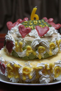 誕生日★2段のカラフルアイスケーキ