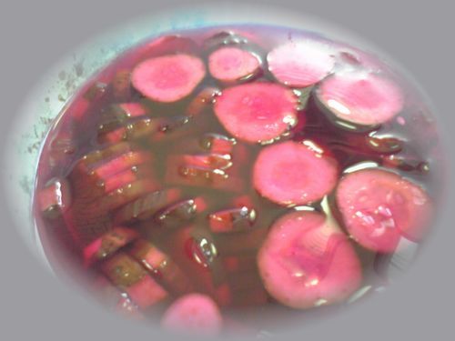 梅酢で夏ばて防止『きゅうりの梅染漬け』の画像
