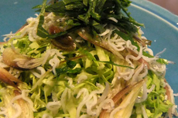 夏バテに キャベツのみょうがしらすサラダ レシピ 作り方 By ゆうひﾏﾏﾝ クックパッド 簡単おいしいみんなのレシピが361万品