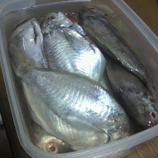 絶対教えたくない 母の味 魚のたて塩 レシピ 作り方 By るるとまいこ クックパッド 簡単おいしいみんなのレシピが361万品