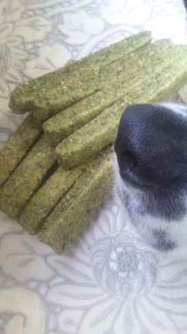 犬用おからと米粉クッキー*モロヘイヤ*