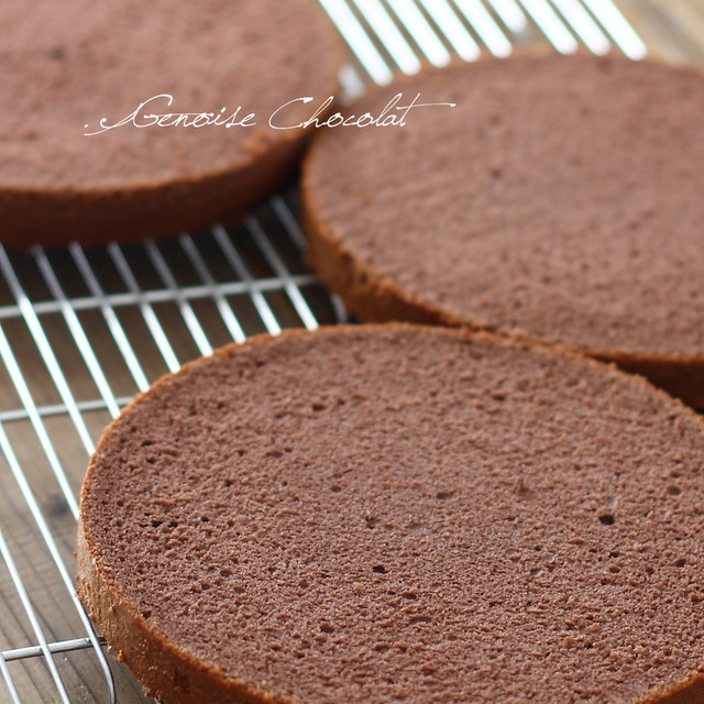 ふわふわしっとり チョコスポンジケーキ レシピ 作り方 By れっさーぱんだ クックパッド 簡単おいしいみんなのレシピが350万品 ふわふわしっとり チョコスポンジケーキ レシピ 作り方 By れっさーぱんだ クックパッド 簡単おいしいみんなのレシピが350万品