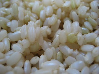簡単☆発芽玄米の作り方！の写真