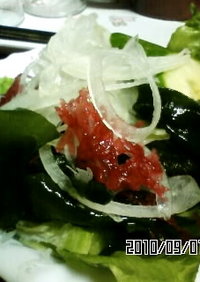 ♣海藻サラダ