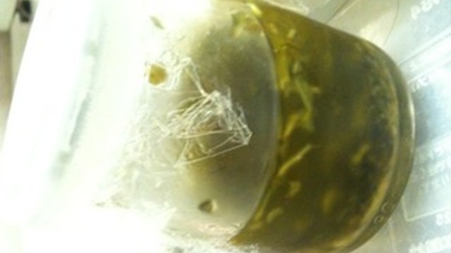 乾燥バジル バジルソース レシピ 作り方 By Llamita クックパッド 簡単おいしいみんなのレシピが361万品