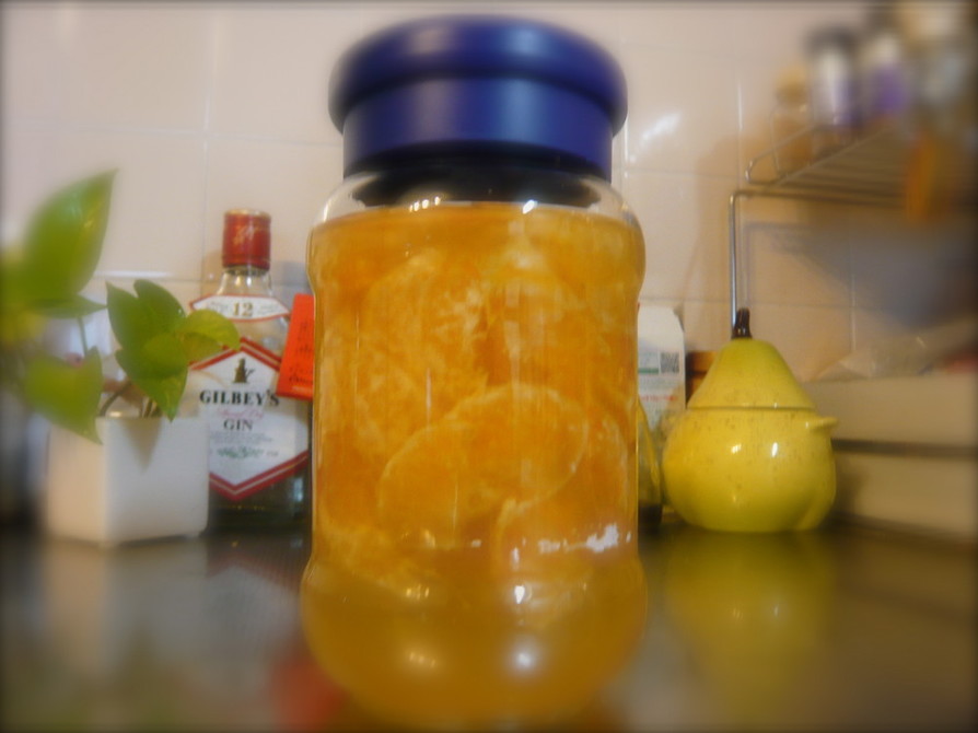 飲むお酢シリーズ　オレンジビネガーの画像