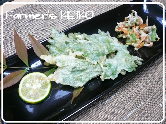 【農家のレシピ】セロリの葉の天ぷらの画像