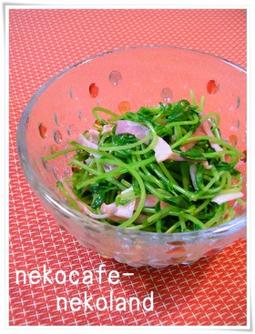 豆苗とベーコンのレンチン1分♫♬