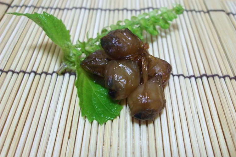 釣り人が作るアオリイカのクチバシの乾物 レシピ 作り方 By 愛知のゴウ クックパッド