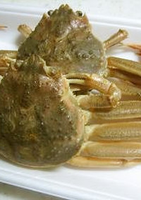 蟹のゆで方　せいこがに、香箱蟹の食べ方