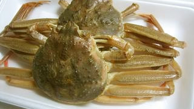 蟹のゆで方 せいこがに 香箱蟹の食べ方 レシピ 作り方 By てーぶるすぷーん クックパッド 簡単おいしいみんなのレシピが354万品