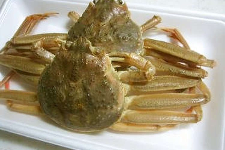 蟹のゆで方 せいこがに 香箱蟹の食べ方 レシピ 作り方 By てーぶるすぷーん クックパッド 簡単おいしいみんなのレシピが361万品