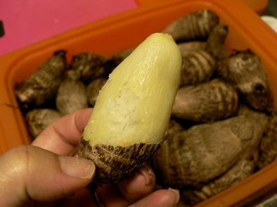 ルクエ・スチーマーで里芋の皮むき＆冷凍の写真