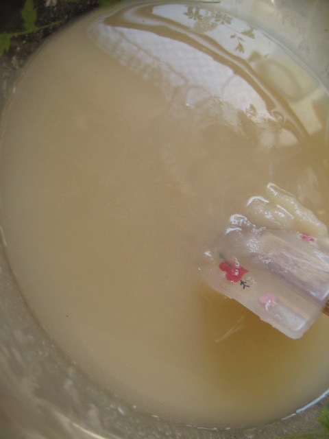 【食事療法】離乳食・熱・下痢に玄米スープの画像