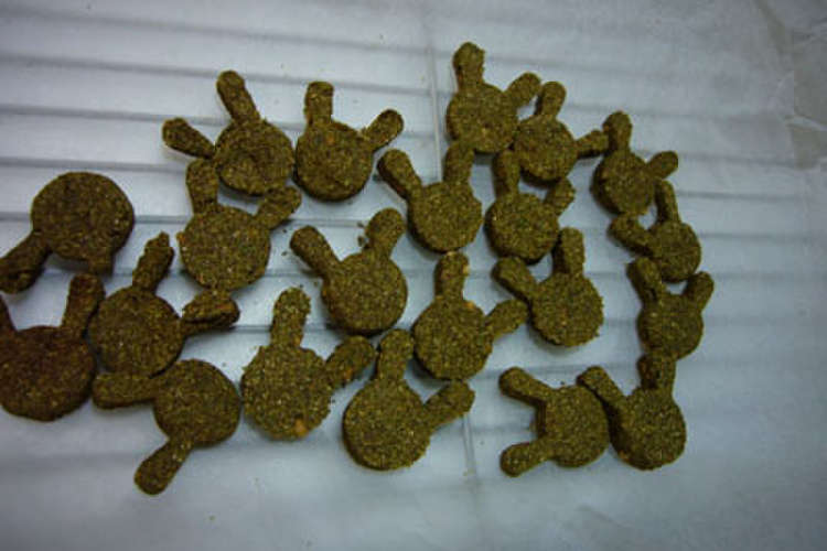 うさぎの為のうさぎクッキー レシピ 作り方 By おーさかや クックパッド
