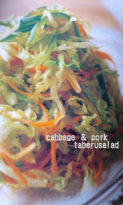 豚肉とキャベツの食べるサラダの写真