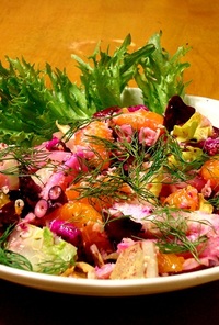 フィノッキオとイタリア冬野菜の蛸のサラダ