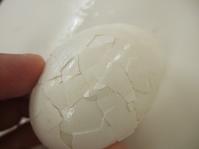ゆで卵 剥きやすさ★比較・検討大実験!①の写真