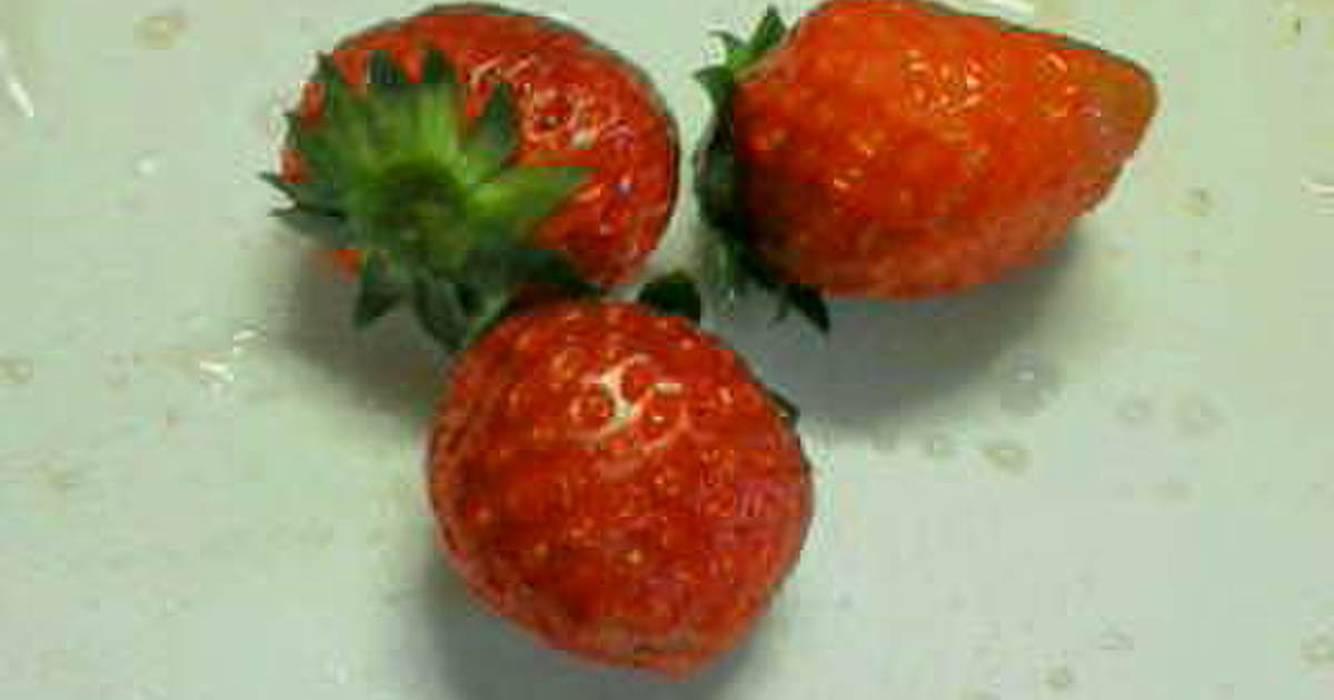 イチゴ ｖ様確認用 2 Bhinternalmedicine Com