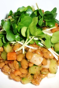 お野菜も一緒に食べる　カラフル納豆