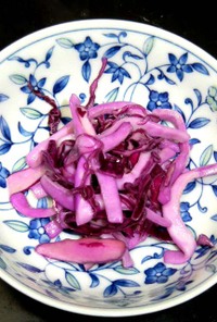 イカと紫キャベツの酢漬