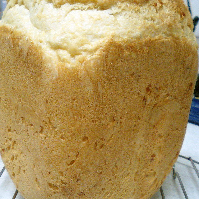 中力粉100％の胚芽押し麦入りパン　HB