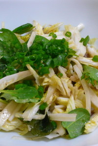 白菜のアンチョビサラダ