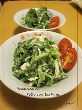 鶏胸肉とレタスのサラダ
