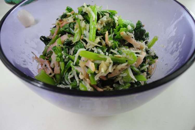 かき 菜 レシピ