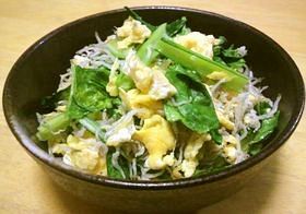冷めても美味しい小松菜炒めっ♪