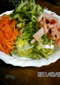 ♣千切サラダTear vegetable