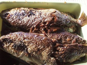 鯵の甘露煮(圧力鍋で30分)