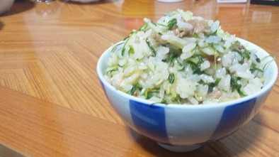 水菜たっぷり☆簡単混ぜご飯！の写真